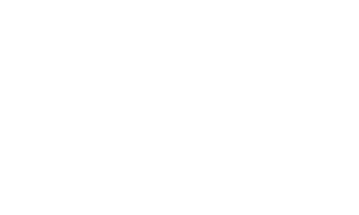 elgin logo